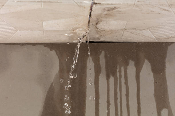 Professional Structural Drying technician working in Tamassee, SC